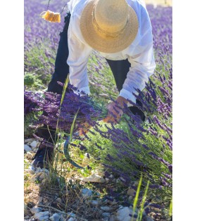 Schmiedeeiserne Gartensichel mit Eschenholzgriff Krumpholz