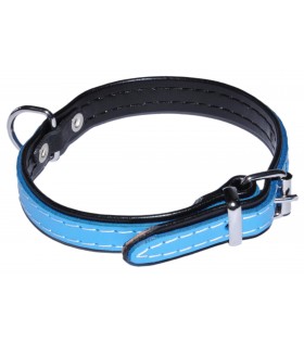 Hellblaues Halsband für Hund aus Leder 16mm/40cm