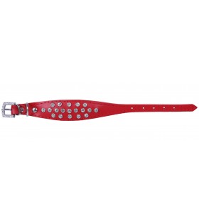 Rotes Hundehalsband mit kleinen Kristallen Exclusive- 25 cm