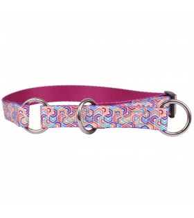 Buntes Hundehalsband 20mm/35-50 cm DINO