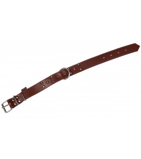 Braunes Hundehalsband aus Leder mit Nieten 40mm/57cm