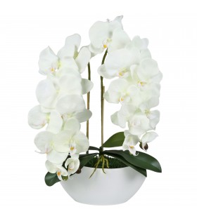 Sztuczny storczyk orchidea w doniczce, ecru, jak żywy, 2 pędy 53 cm