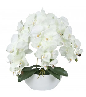 Künstliche Orchidee im Topf, ecru, wie lebendig, 3 Stiele 53 cm