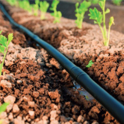 Linie Kroplujące do Ogrodu Nawadniające Przewody - Dobra Cena! - Sklep Bellus Hortus